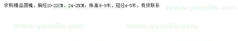 求購胸徑20-22、24-25公分國槐