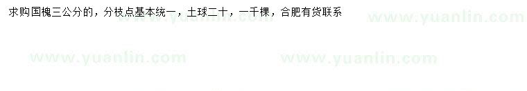 求購3公分國槐