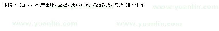 求購13公分垂柳