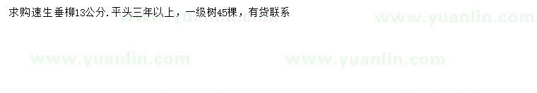 求購13公分速生垂柳