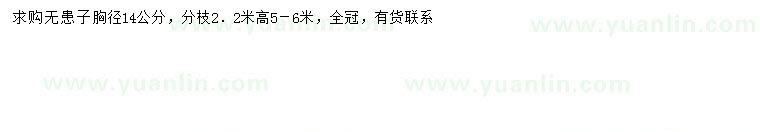 求購(gòu)胸徑14公分無患子