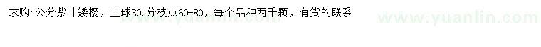 求購4公分紫葉矮櫻