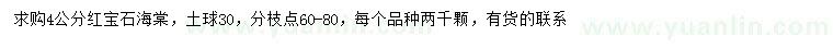 求購4公分紅寶石海棠