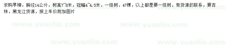 求購胸徑14公分旱柳