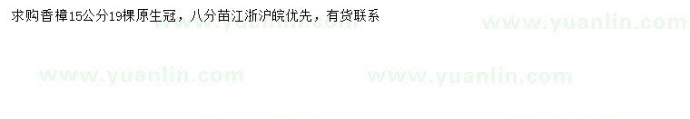 求購15公分香樟