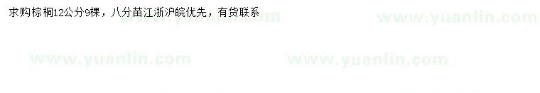 求購12公分棕桐
