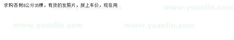 求購8公分杏樹