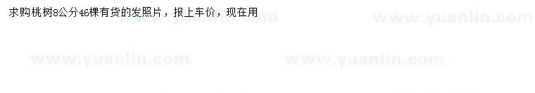 求購8公分桃樹