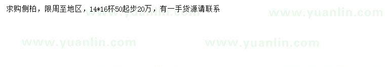 求購50公分以上側(cè)柏