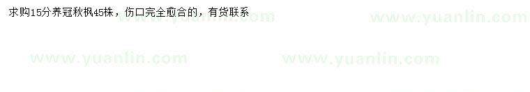 求購15公分秋楓