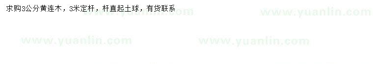 求購3公分黃連木