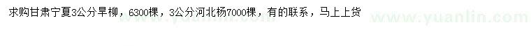 求購(gòu)3公分旱柳、河北楊