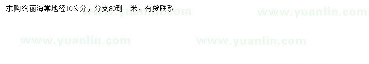求購地徑10公分絢麗海棠