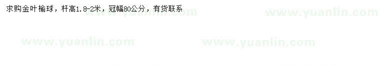 求購冠幅80公分金葉榆球