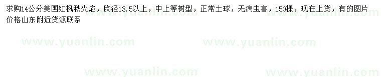 求購(gòu)胸徑13.5-14公分美國(guó)紅楓秋火焰