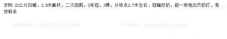 求購22公分白蠟