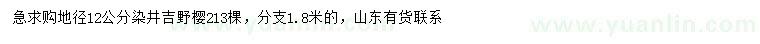 求購(gòu)地徑12公分染井吉野櫻