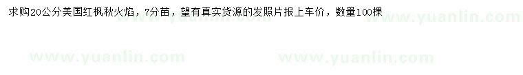 求購20公分美國紅楓秋火焰