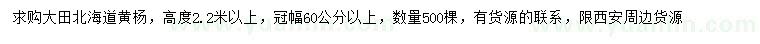 求購高2.2米以上北海道黃楊
