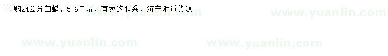 求購24公分白蠟
