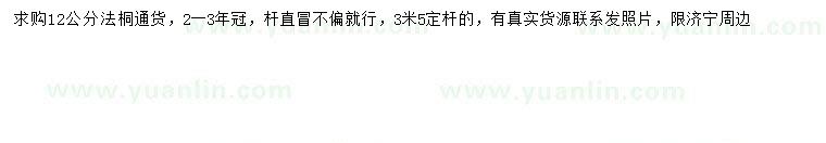 求購12公分法桐