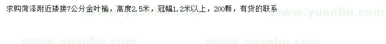 求購7公分金葉榆