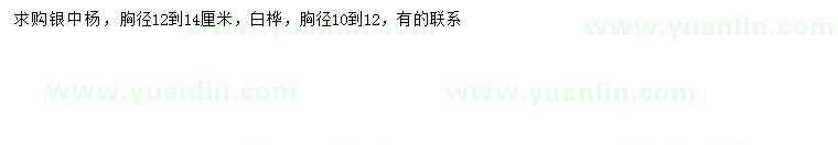 求購(gòu)胸徑12-14公分銀中楊、胸徑10-12公分白樺