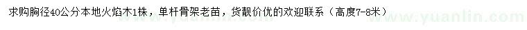 求購胸徑40公分火焰木
