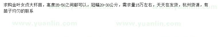 求購(gòu)高35-50公分金葉女貞