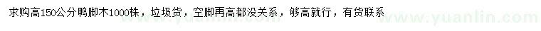 求購高150公分鴨腳木