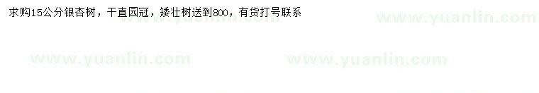 求購(gòu)15公分銀杏樹