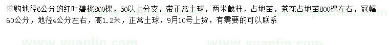求購(gòu)地徑6公分紅葉碧桃、地徑4公分左右茶花