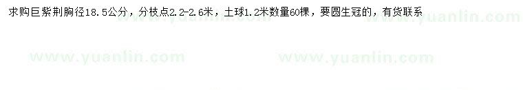求購胸徑18.5公分巨紫荊