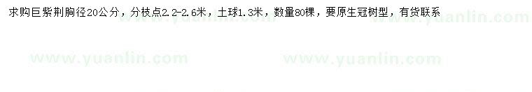 求購胸徑20公分巨紫荊