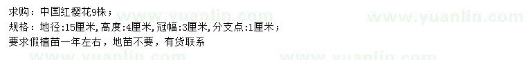 求購地徑15公分中國紅櫻花