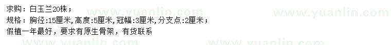 求購胸徑15公分白玉蘭