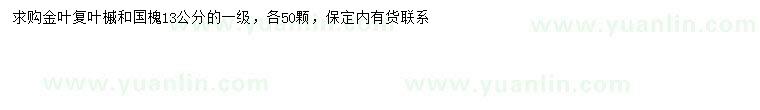 求購13公分金葉復(fù)葉槭、國槐