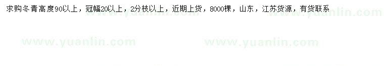 求購高90公分以上冬青