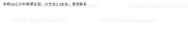 求購(gòu)28公分樸樹