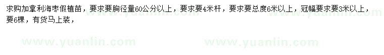 求購胸徑60公分以上加拿利海棗