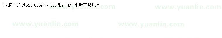 求購高400公分三角楓