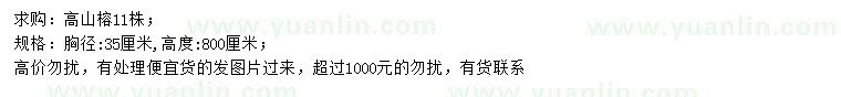 求購胸徑35公分高山榕