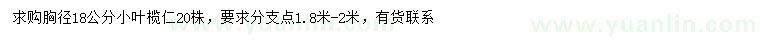 求購胸徑18公分小葉欖仁