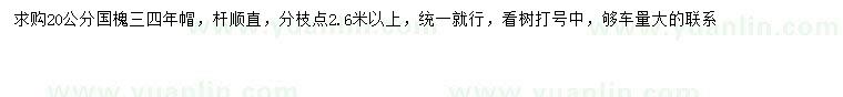 求購20公分國槐