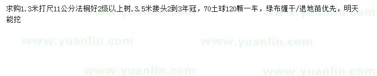 求購1.3米量11公分法桐