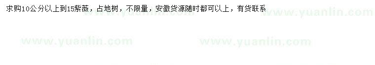 求購10-15公分紫薇