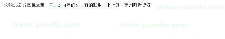 求購16公分國槐