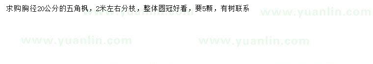 求購胸徑20公分五角楓