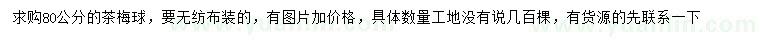 求購(gòu)80公分茶梅球