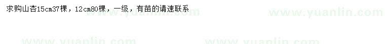 求購(gòu)12、15公分山杏